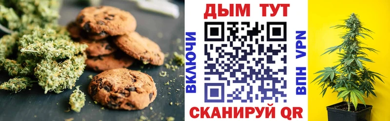 Canna-Cookies марихуана  закладка  Ковылкино 
