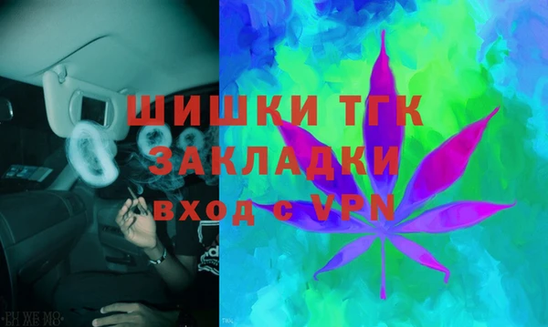 эйфоретик Гусев