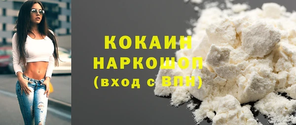 гидра Надым