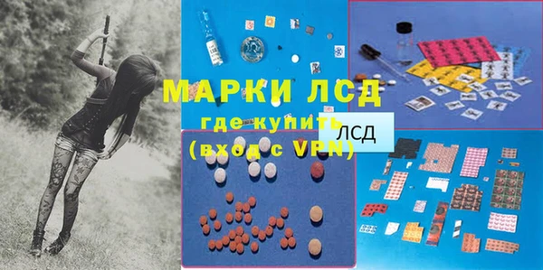 эйфоретик Гусев